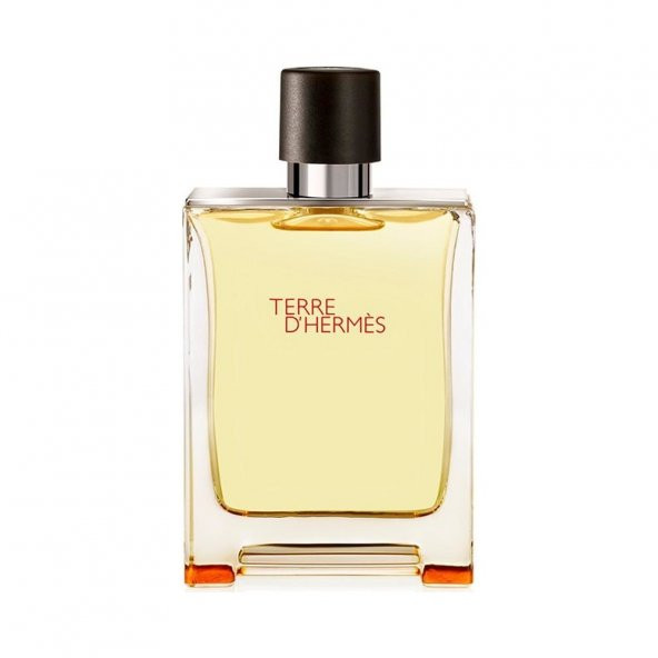 Hermes Terre DHermes EDT 100 ml Erkek Parfüm