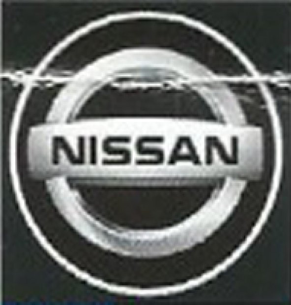 Nissan Araç Kapı Altı LED Hayalet Logo 2li