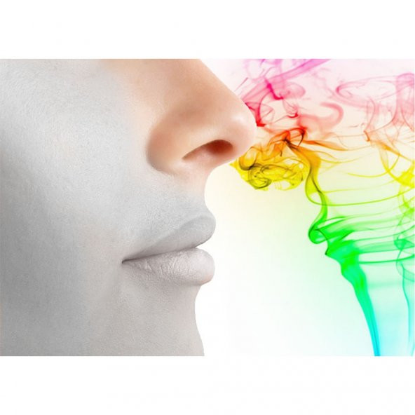 2 kg Goldenwax Tipitip Sakız Kokusu Ortam Oto Parfümü Oda Parfümü En Çok Tercih Edilen Koku Türü - 3