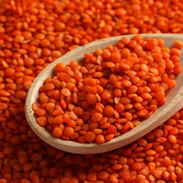 mercimek 25 kg lık çuval kırmızı mercimek