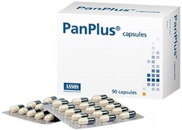 Panplus 90 Kapsül