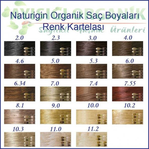 Naturigin Organik Saç Boyası Açık Kül Sarısı 8.1 - 3