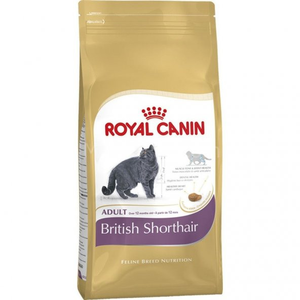Royal Canin British Shorthair Kedi Maması - 2Kg