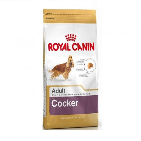 İngiliz ve Amerikan Cocker Köpek Maması Royal Canin 3 Kg