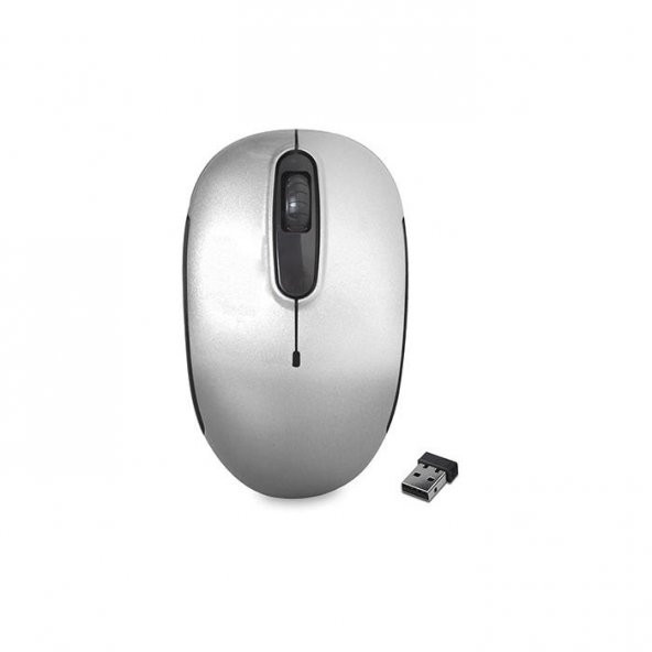 Everest SMW-666 Usb Gümüş 2.4Ghz Optik Wireless Mouse
