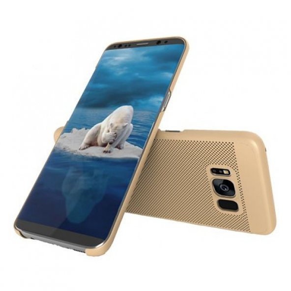 Galaxy S8 Plus Loopee Point Arka Kapak Gold