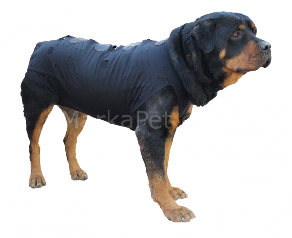 Win Pet Ameliyat Sonrası Köpek Elbisesi XL 84*74 cm
