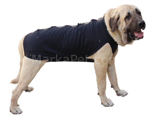 Win Pet Ameliyat Sonrası Köpek Elbisesi XXL 89*91 cm