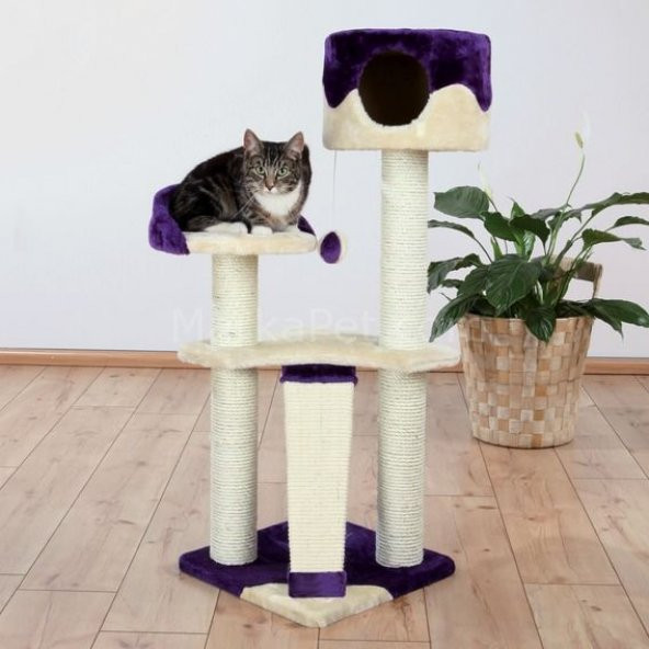Trixie kedi oyun&tırmalama evi 104 cm, bej/mor