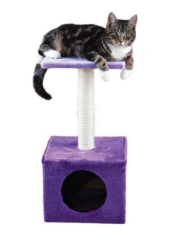 Trixie kedi oyun ve tırmalama evi, 61 cm, mor/lila