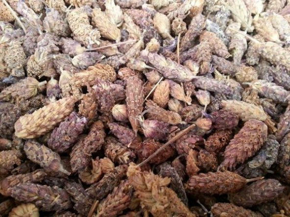 1 Kg. Karabaş Otu Yeni Mahsül Antalya Beydağları Ücretsiz Kargo