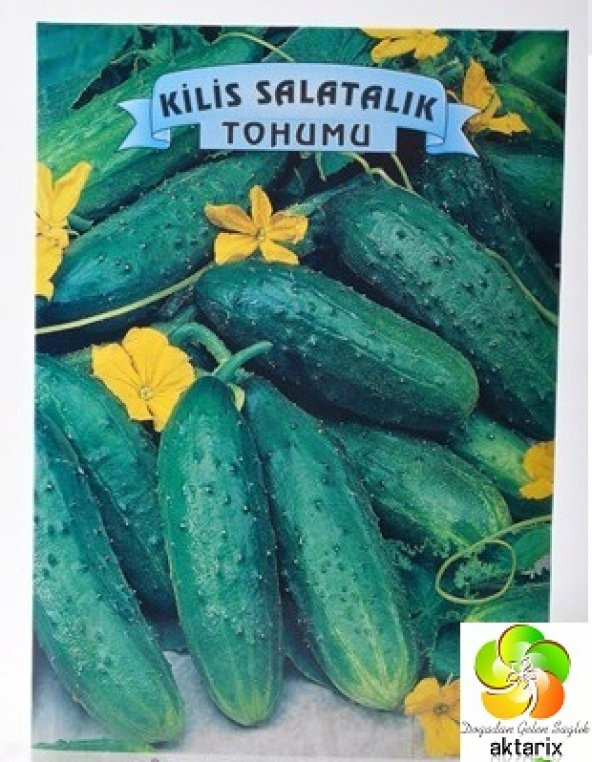 Salatalık Tohumu Kilis - Hıyar - Paket