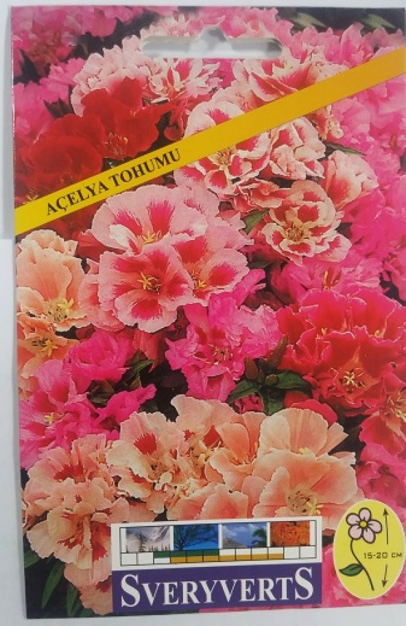 Açelya Çiçeği Tohumu Paket- Ücretsiz Kargo