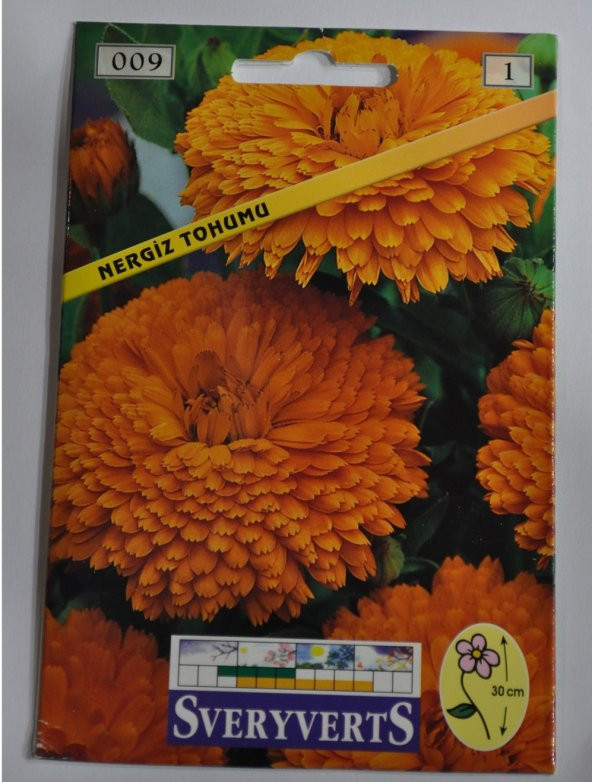 Nergiz Çiçeği Tohumu Paket- Ücretsiz Kargo