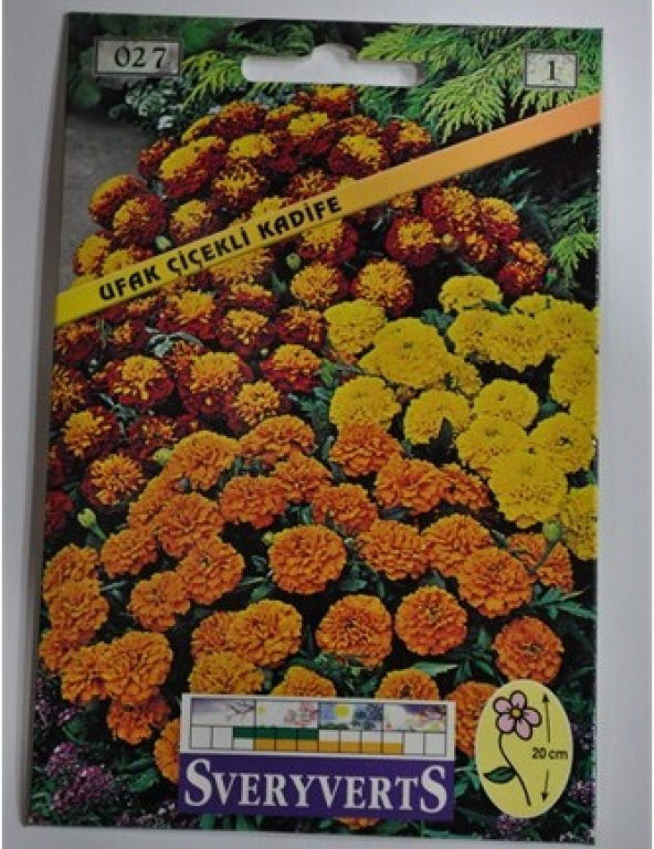 Ufak Çiçekli Kadife Çiçeği Tohumu Paket - Ücretsiz Kargo