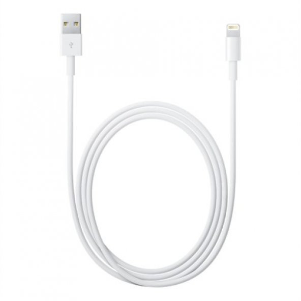 Apple Lightning - Usb Kablosu (2 M)-Oem