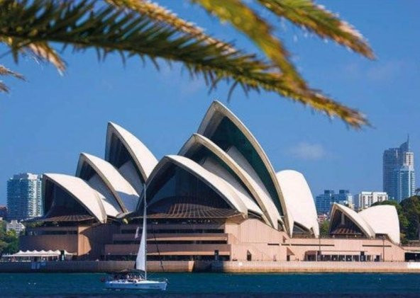 Dino Puzzle 1000 Parça Sydney Opera House Puzzle