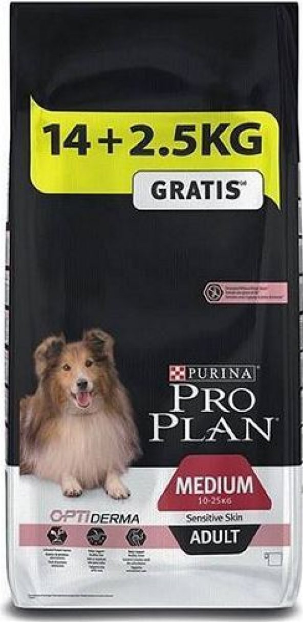 Pro Plan Adult Sensitive Somonlu Köpek Maması 16,5 Kg