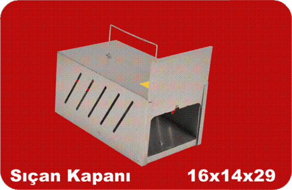 Fare Canlı Yakalama Kapanı - 2