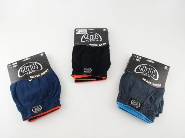 Gümüş Erkek Penye Boxer Düz Renkler Pamuklu Erkek Boxer 4020 - 3