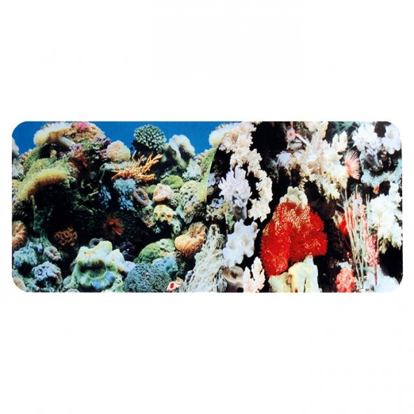Chicos Akvaryum İçin Dekoratif Anemon-Mercan Plastik Poster 40 cm