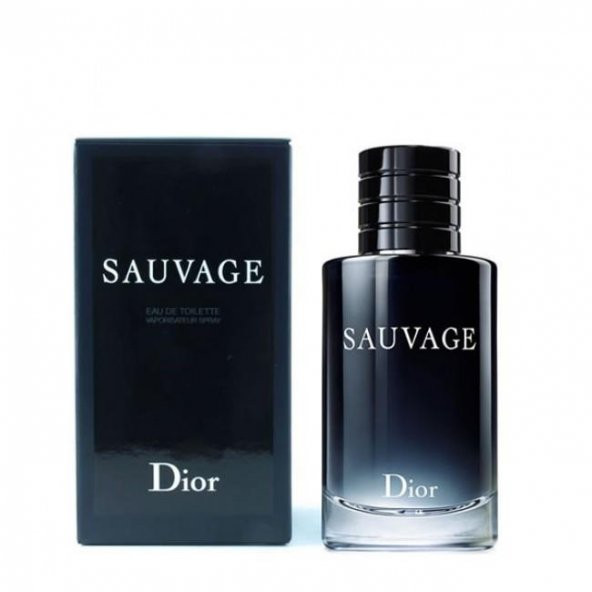 Christian Dior Sauvage EDT 100 Ml Erkek Parfüm - 2