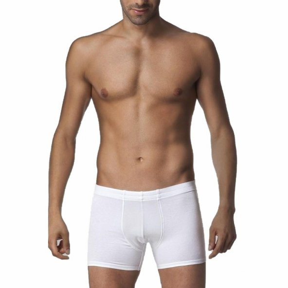 Çift Kaplan Erkek Elastanlı Boxer 810