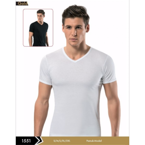 Erdem 1551 Modal V Yaka Erkek Erkek T-Shirt