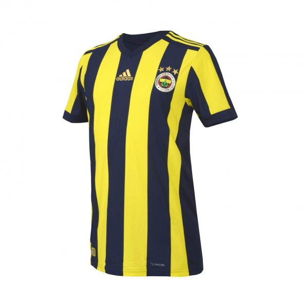 Fenerbahçe Sk İç Saha Forma CI4358