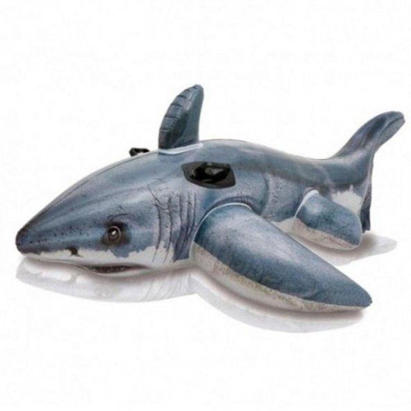 Köpek Balığı Binici - 173x107cm