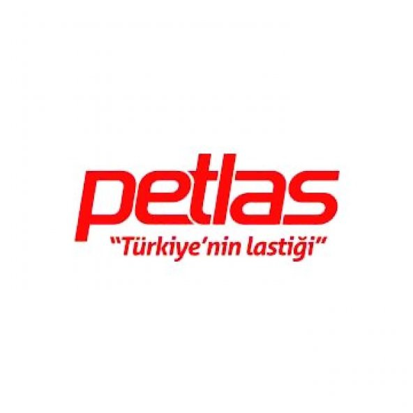 Petlas 195/55 R16 87h Tl M+S Sf Snowmaster W651 Kış Lastiği-2020 Üretimi - 3