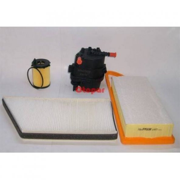 Peugeot 208 - 307 - 308 1.4 Hdi Filtre Seti