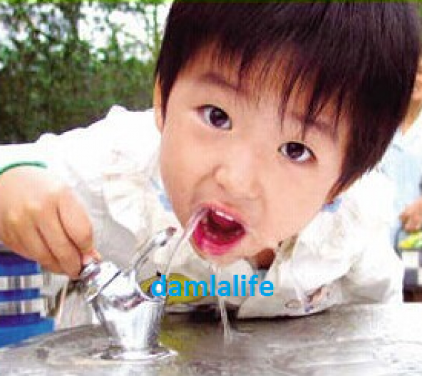 Anaokulları Için Su Fışkırtmalı Okul Tipi Su Arıtmalı Sebil - 2