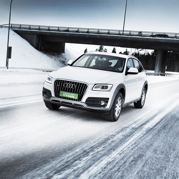 Nokian 215/60 R17 100H XL WR SUV 3 Kış Lastiği 2019 - 3