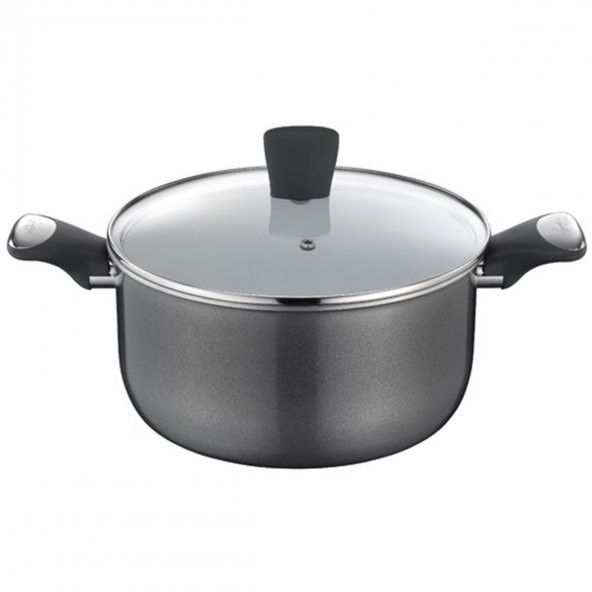Tefal Lagostina Casa Artica Derin Tencere 24 cm