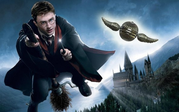 Harry Potter Topu Metal Stres Çarkı - 2