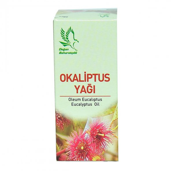 Okaliptus Yağı 20 cc - 2