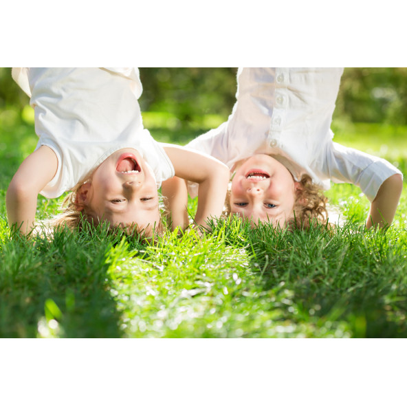 Lawn&Art General Mix Konut ve Park Alanları için Çim Tohumu Karışımı 10 kg - 2