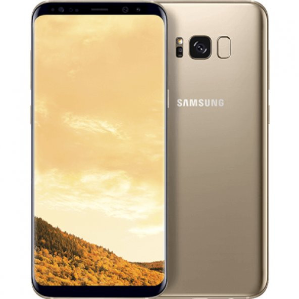 Samsung Galaxy S8 Plus Altın Cep Telefonu (Samsung Türkiye Garant