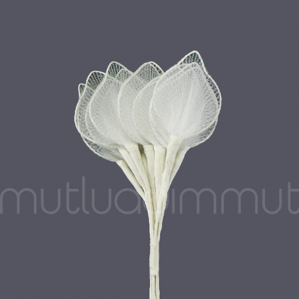 Yaprak Raket 72 Adet - 5