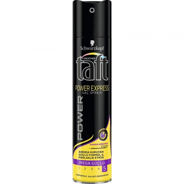 Taft Saç Spreyi Çeşitleri 250 ML - 2