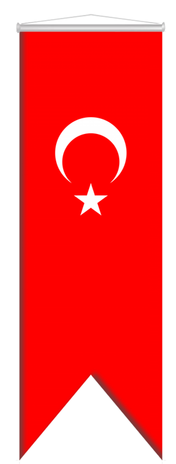 Türk Bayrağı Kırlangıç; 50X150