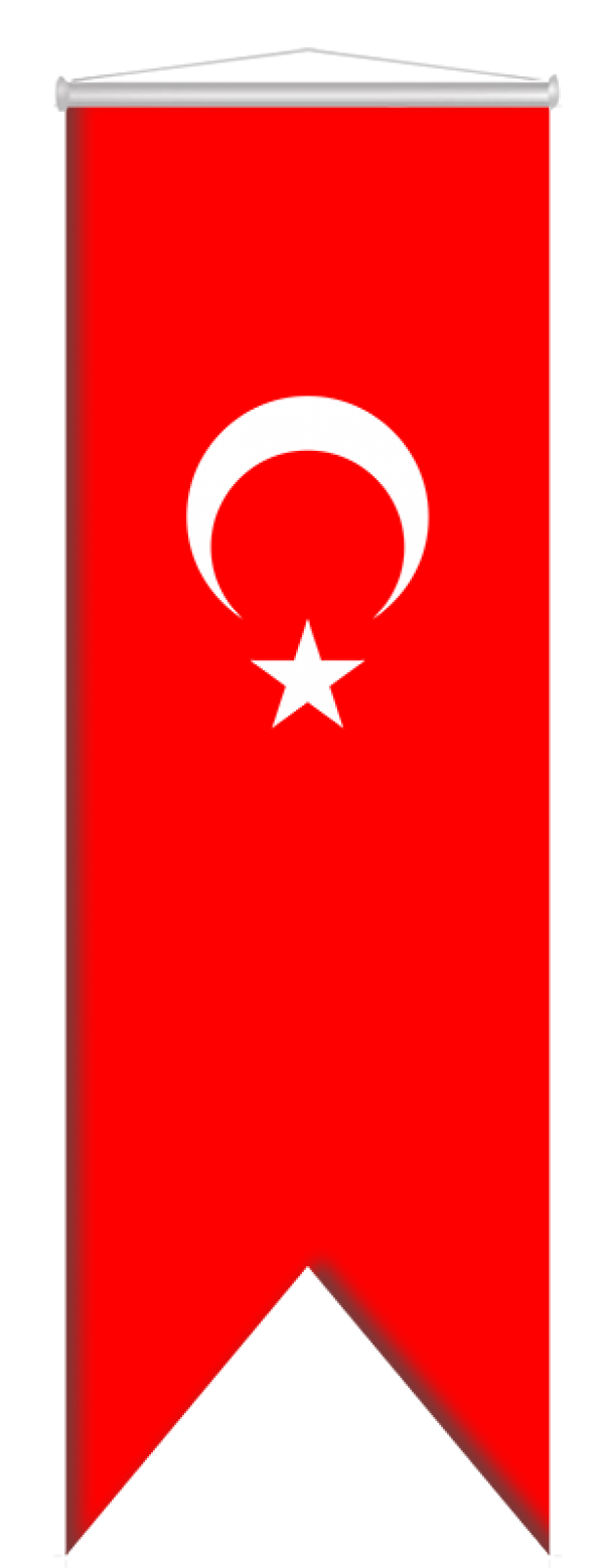 Türk Bayrağı Kırlangıç