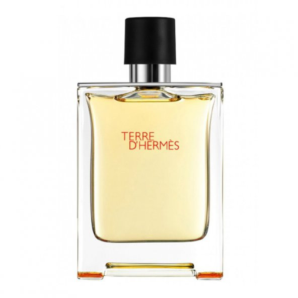 Hermes Terre Hermes Edt 100 Ml Erkek Parfümü