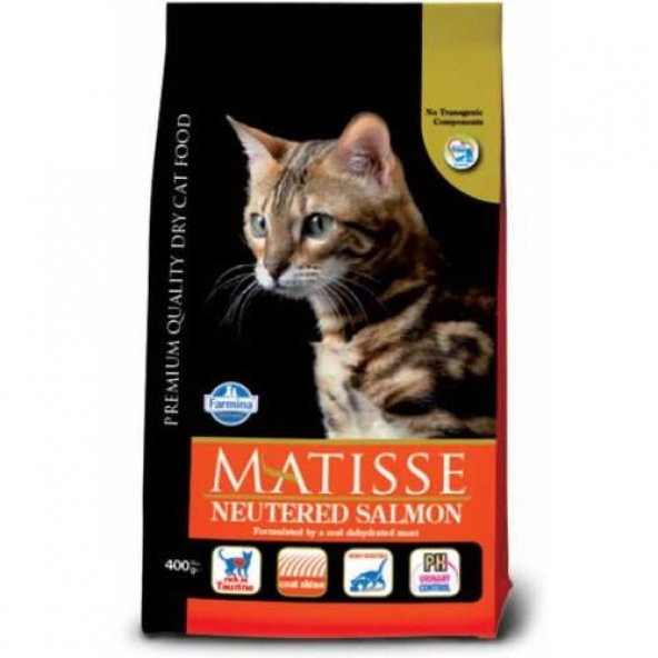 Matisse Neutered Kısır Somonlu Kedi Maması 10 Kg