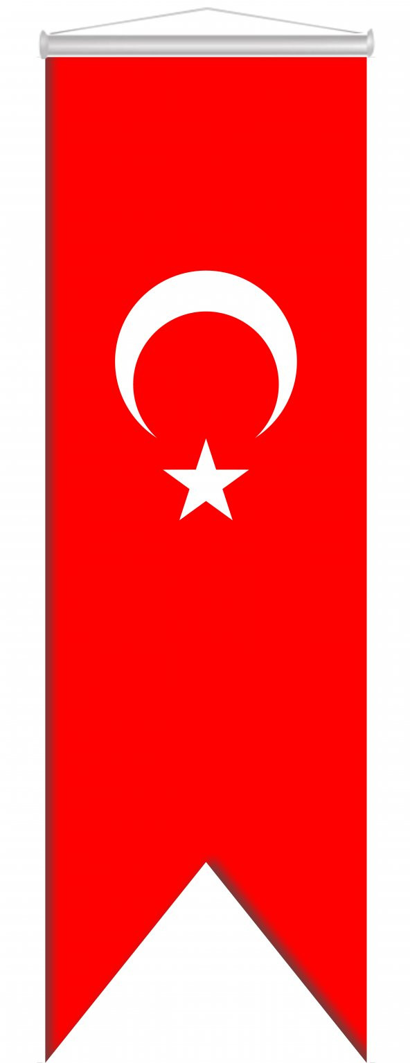Kırlangıç Türk Bayrağı 70x200