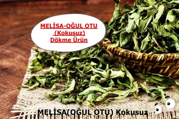 Oğul Otu - Melisa (Kokusuz) 150 gr Doğal Taze