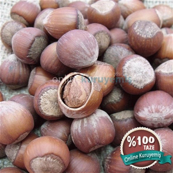 Çiğ Kabuklu Fındık (1000 gr)