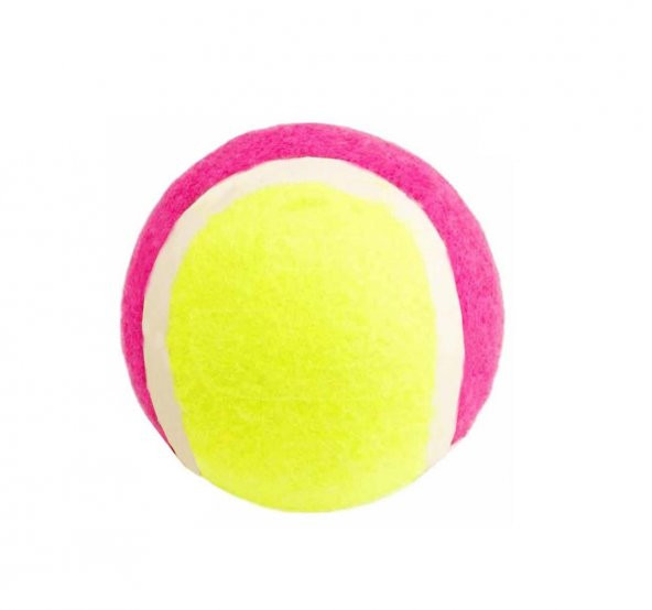 Lion Tenis Topu Köpek Oyuncağı 6.3 Cm