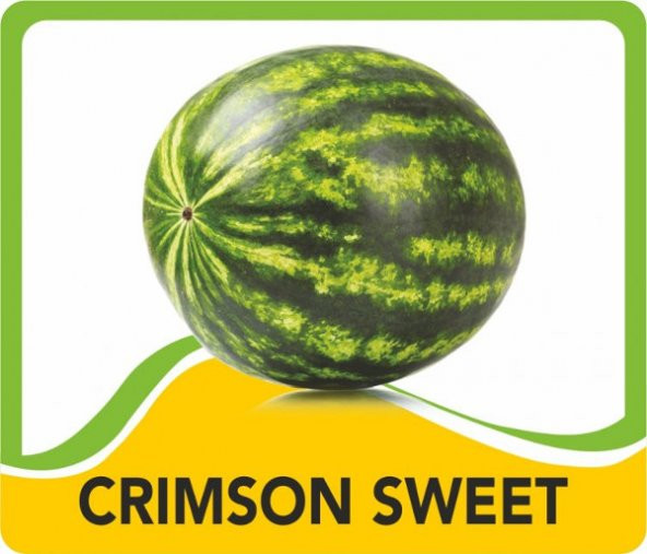 tarımsepeti Karpuz Carimson Sweet (Yerli)